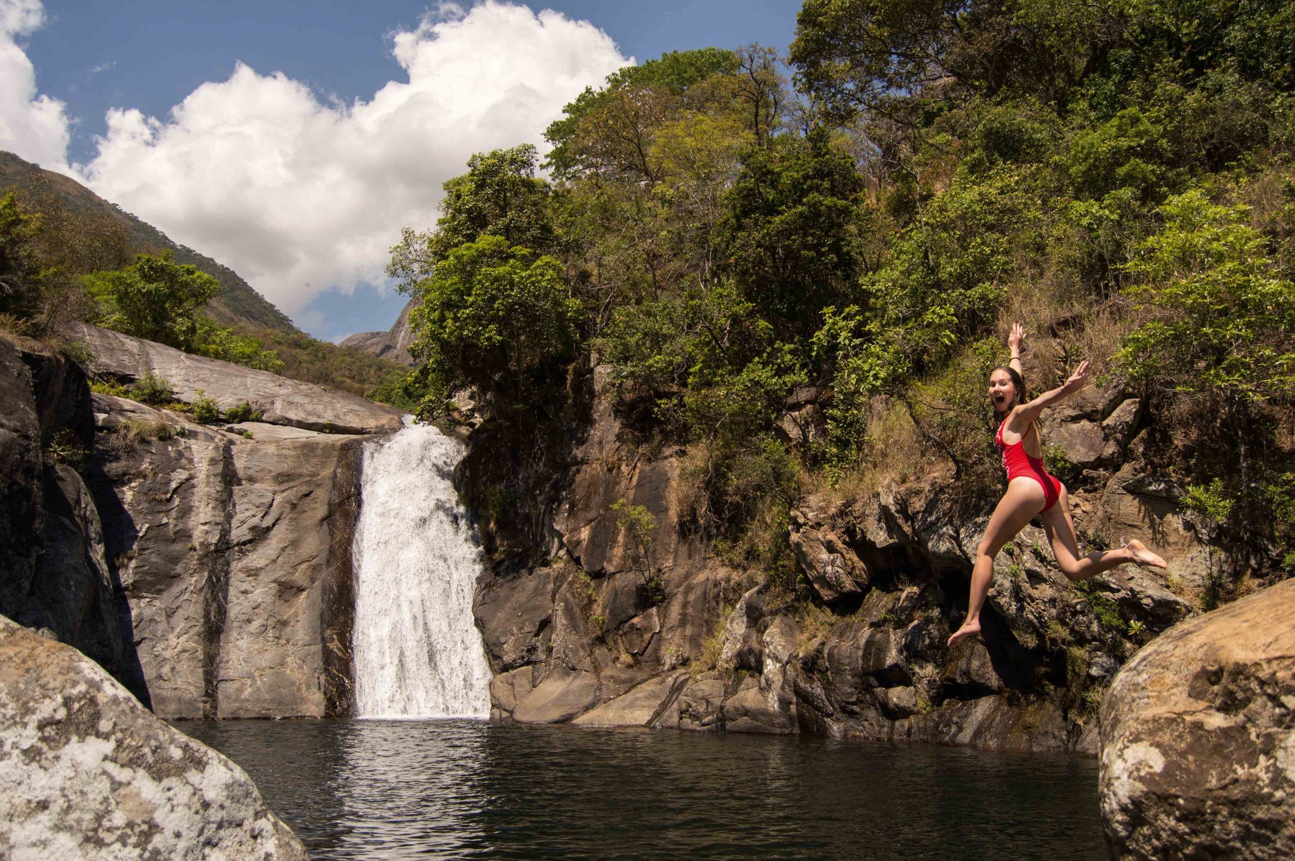 Wildlife and nature in Malawi